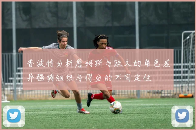香波特分析詹姆斯与欧文的角色差异强调组织与得分的不同定位